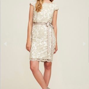 Greta Tadashi Shoji Embroidered Dress NWT